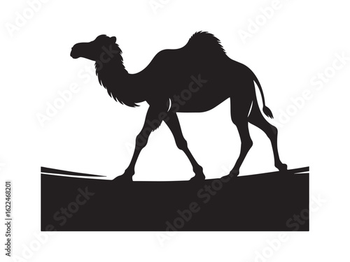 camel in desert silhouette vector