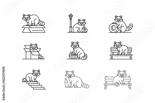 Raccoons in various poses and settings animal wildlife