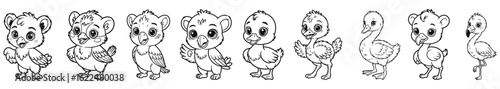 Baby Bird and Feathered Animal Coloring Pages. Owl, Chick, Duckling, Swan, Flamingo, Bird, Fowl, Cute, Baby,