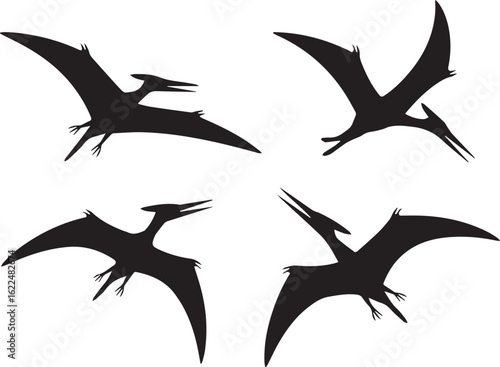 seamless pterodactyl silhouette clipart set for dinosaur themed artwork logos and digital projects ai eps jpeg png