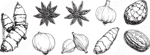 Hand-Drawn Spices Set