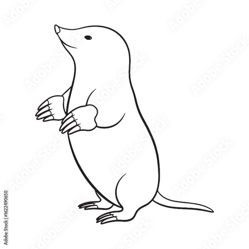 Stylized Mole Line Art – Mole Vector Illustration Artistic Drawing with Unique Proportions – Mole Drawing – Line Art Drawing of Mole – Mole Icon

