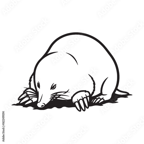 Streamlined Mole Line Art – Mole Vector Outline Drawing with Fine Fur Shape – Mole Drawing – Vector of Mole – Mole Outline

