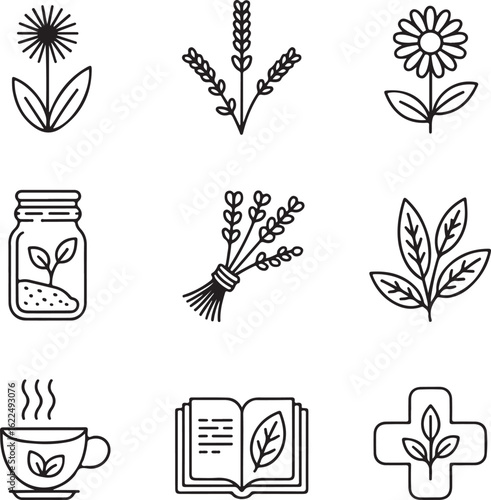 A set of linear icons representing herbalism, phytotherapy, and natural remedies. Includes flowers, tea, and botanical symbols for wellness.