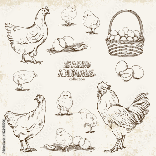 Hand-drawn set in vintage style with chickens, chicks, eggs and a rooster on a light background with texture.