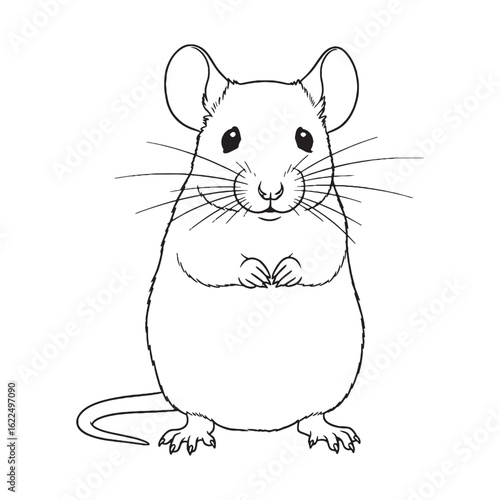 Classic Mouse Line Art – Mouse Vector Outline Drawing with Upright Petite Stance – Mouse Drawing – Vector of Mouse – Mouse Outline

