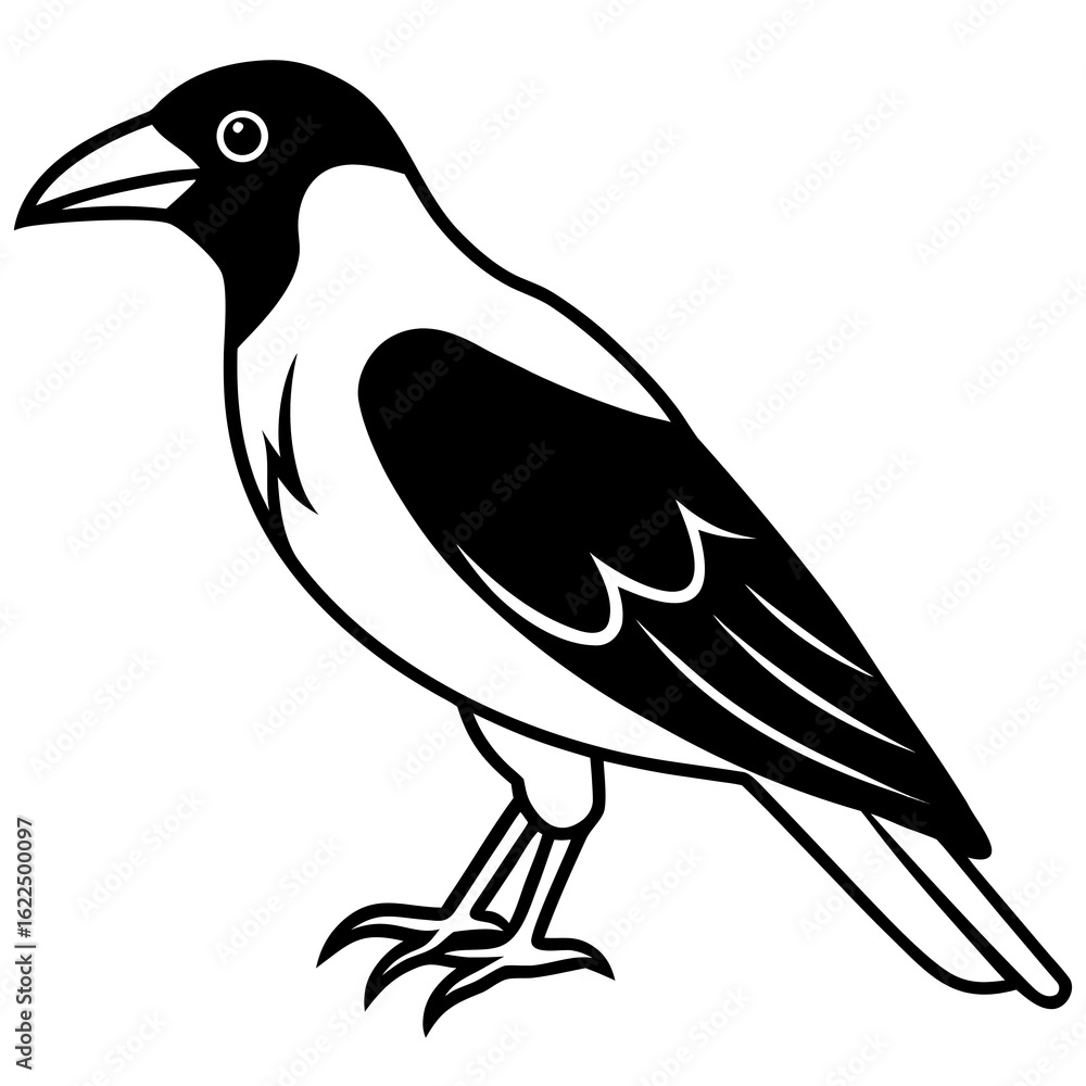 Obraz premium crow on a white background
