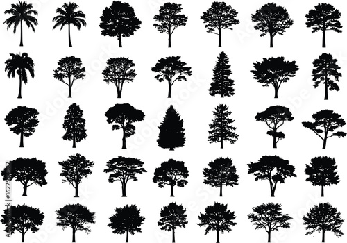 Collection of diverse tree silhouettes in black and white showcasing various shapes and species for design elements