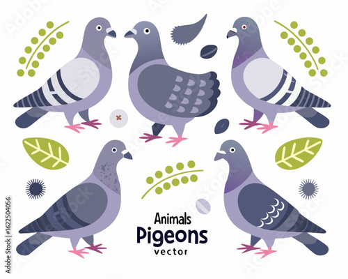 pigeons