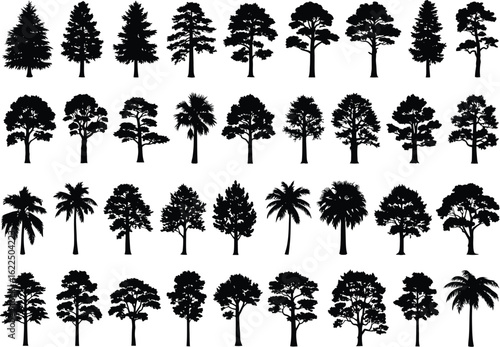 Collection of diverse tree silhouettes in black and white showcasing various species and shapes for design projects