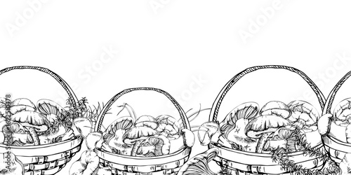 Baskets full of picked mushrooms, autumn forest harvest of bolete russula webcap milk-cap fungi with horsetail plant stalks, grass blades. Seamless banner header wrapper hand drawn in vector ink.