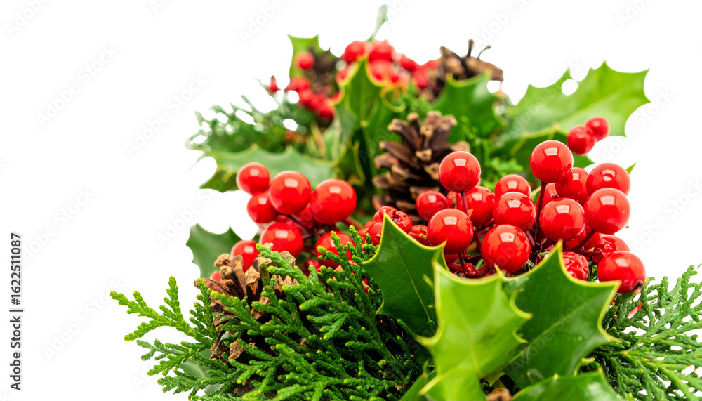 Obraz premium Winter berries and evergreen sprigs in festive arrangement, isolated on transparent background.