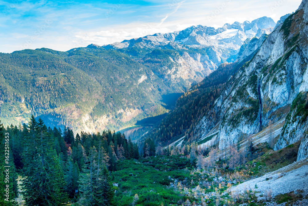 Obraz premium Pine Trees in the Dachstein Mountains - Austria