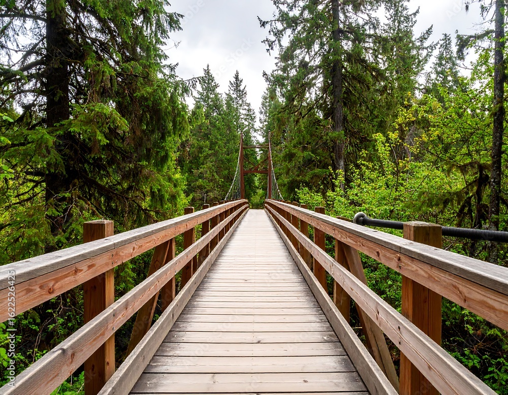 Scenic wooden suspension bridge amidst lush green forest offers a pathway into nature Scenic wooden suspension bridge amidst lush green forest offers a pathway into nature