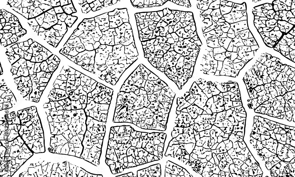 Obraz premium black and white image of cracked surface with angular shapes and intersecting lines creativity and graphic design.