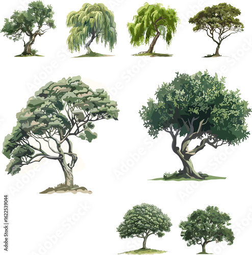 set of tule tree in color style isolated on white and no background