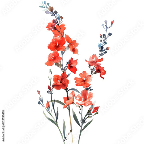 Red watercolor nerium oleander flowers on transparent background