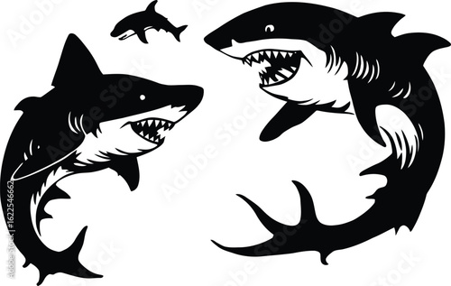 AdBlack and white vector illustration of three fierce sharks with open jaws, including top and side views in dynamic sketch styleobe Illustrator Artwork