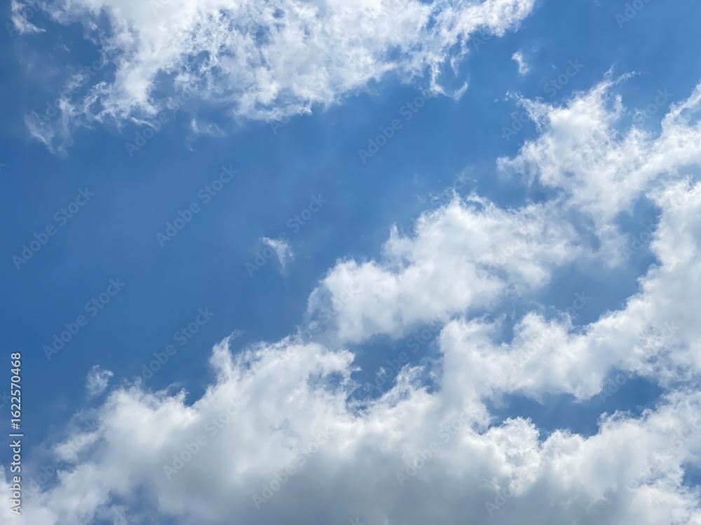 Obraz premium Nature 自然