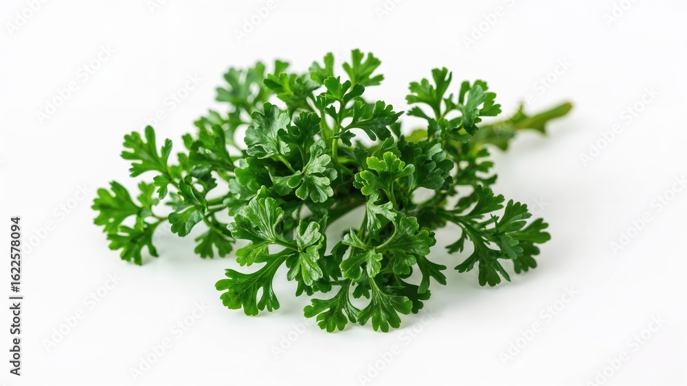 Fresh parsley foliage displayed against a clean white surface Fresh parsley foliage displayed against a clean white surface
