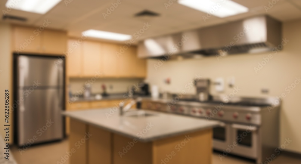 Fototapeta premium Modern Commercial Kitchen Interior, Blurred Background