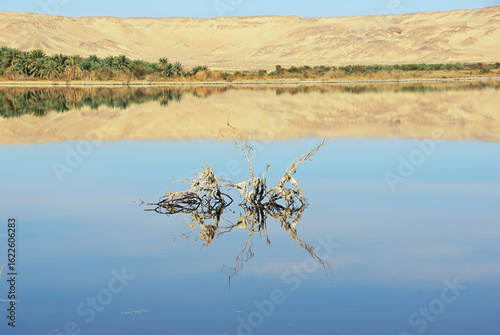 Bild auf Leinwand Al Farafra oasis, Egyp