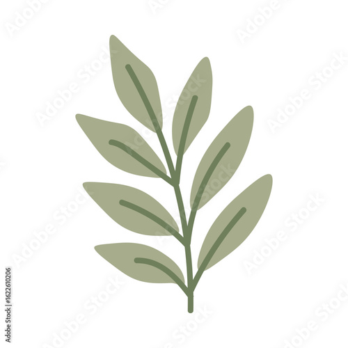 vector illustration of a flower