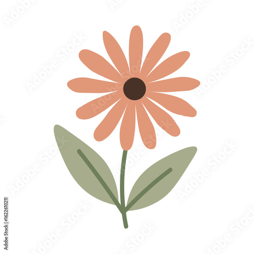 vector illustration of a flower