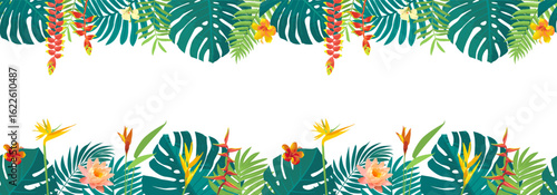 Caribbean background seamless border. Vector tropical beach jungle leaves bg. Brazil green plant rainforest frame. Hawaiian tree foliage. Floral paradise patern. Endless exotic island palm leaf banner