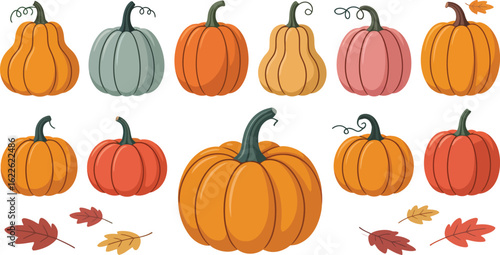 Collection of colorful cartoon pumpkins and autumn leaves for halloween and thanksgiving