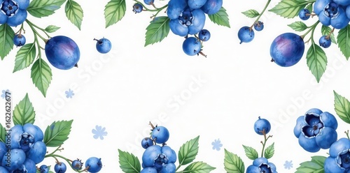 Delicate watercolor blueberry repeat, clean white backdrop, scrapbooking, delicious