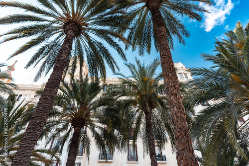 Alicante