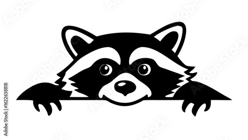 Illustration of a raccoon peeking over a ledge in black and white vector format graphic design art
