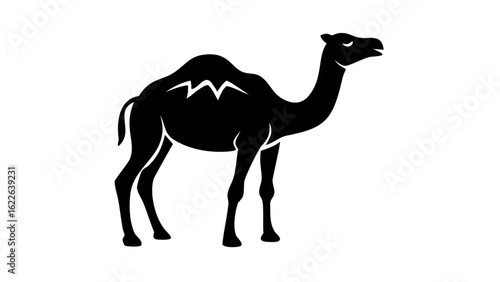 Silhouette of a camel standing with a hump on its back and a short tail in a black and white design