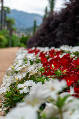 Flower bed with white and red blossoms along a garden path