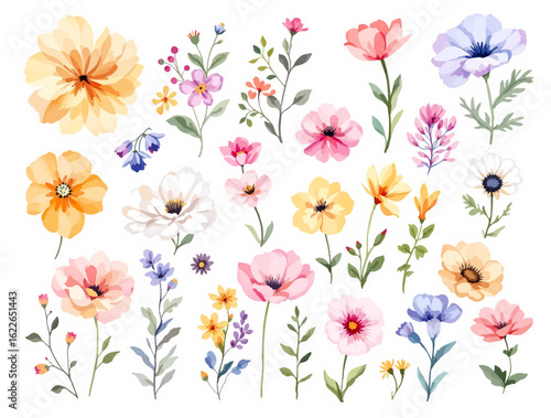Hand-painted wildflower meadow in subtle spring palette