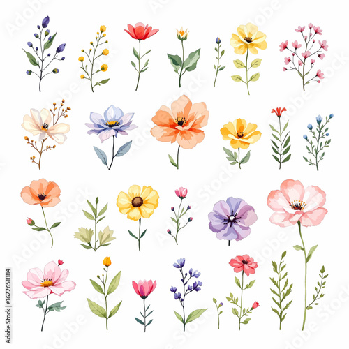 Fresh botanical wildflowers with romantic spring ambiance