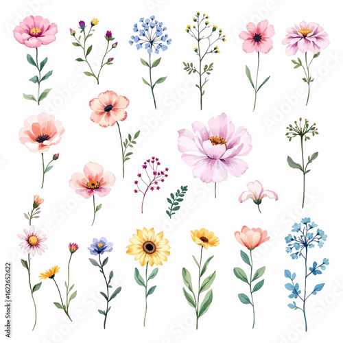 Natural wildflower field in soft romantic watercolor tones