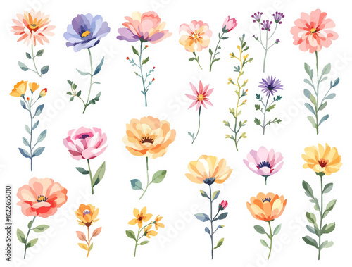 Fresh watercolor wildflowers with elegant slender green stems