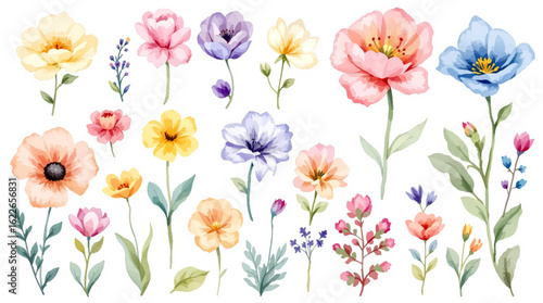 Set colorful spring flowers