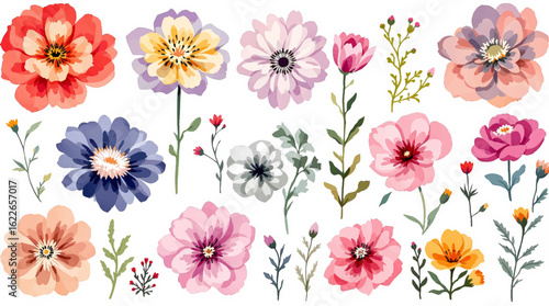 Vibrant set of flowers forming a seamless floral background and a continuous seamless pattern with flowers for elegant decor