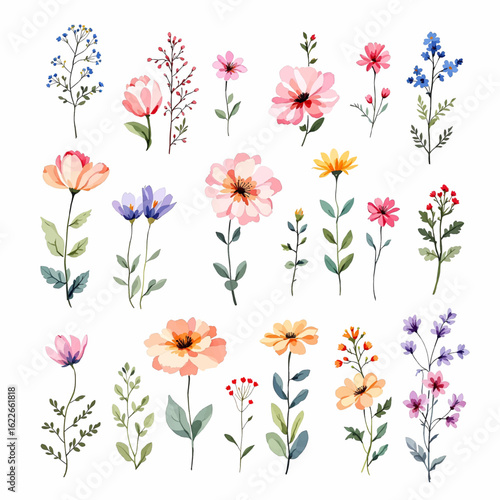 Maple leaves in a watercolor style isolated. Aquarelle leaf for background, texture, wrapper pattern, frame or border.