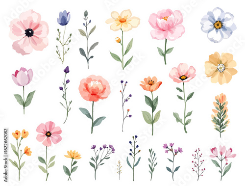 Maple leaves in a watercolor style isolated. Aquarelle leaf for background, texture, wrapper pattern, frame or border.