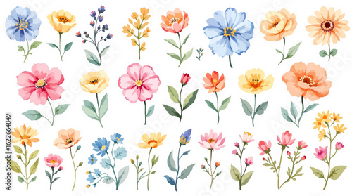 Watercolor flowers and leaves. Hand painted forest plants. Pink, yellow, blue colorful isolated floral set