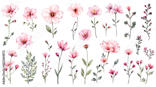 Set with wild flowers hand drawn with watercolour.