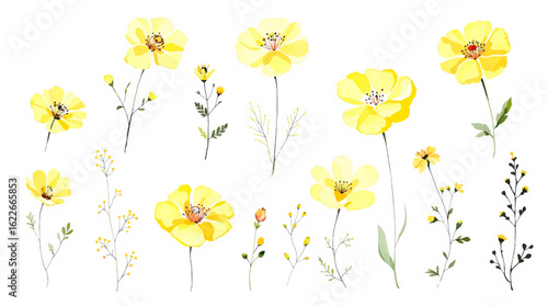 Wild flowers and leaves digital illustration, flowers and leaf perfectly for printing, sublimation.