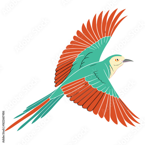 Quetzal bird
