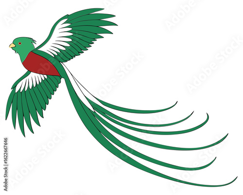 Quetzal bird