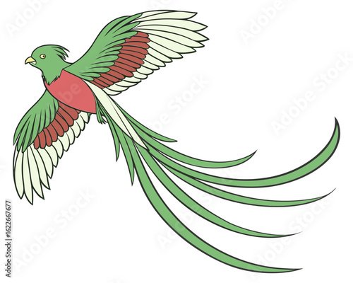 Quetzal bird