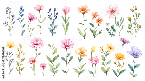 spring flowers vector illustration